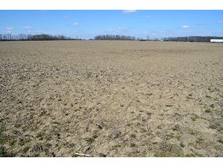 Property photo 47 - LAND AUCTION - 215+/- ACRES OFFERED IN 6 TRACTS IN VAN WERT COUNTY, OHIO